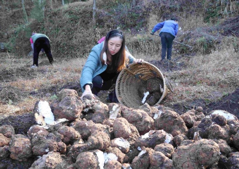 旺苍人才网助力地方人才市场活力再现